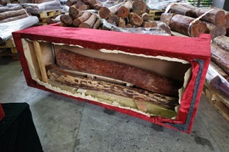 Hong Kong Customs seized about 7 400 kilograms of suspected smuggled red sandalwood with an estimated market value of about $5.5 million from two containers at the Kwai Chung Customhouse Cargo Examination Compound on April 6. This is the first time Customs has detected the smuggling of wood logs concealed inside furniture. Photo shows some of the suspected smuggled red sandalwood concealed inside a wooden cabinet.