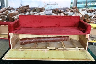 Hong Kong Customs seized about 7 400 kilograms of suspected smuggled red sandalwood with an estimated market value of about $5.5 million from two containers at the Kwai Chung Customhouse Cargo Examination Compound on April 6. This is the first time Customs has detected the smuggling of wood logs concealed inside furniture. Photo shows some of the suspected smuggled red sandalwood concealed inside a sofa.