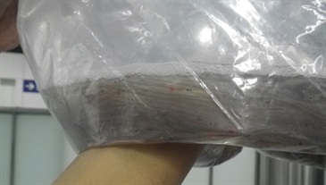 The suspected European eels discovered by Customs officers in the arrestee's check-in baggage.