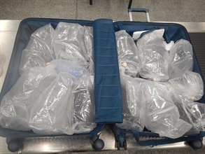 The suspected European eels seized by Customs.