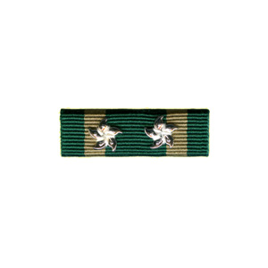 Ribbon of Hong Kong Customs and Excise Long Service Medal (30 years)