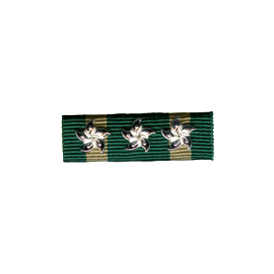 Ribbon of Hong Kong Customs and Excise Long Service Medal (33 years)